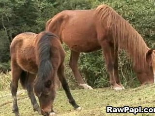 Latino Gays Having Intense Bareback Sex